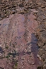 IMG_6778.jpg